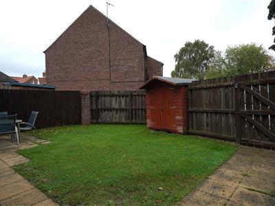 Picture 13